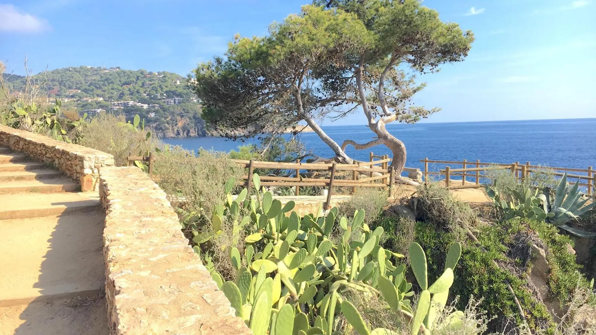 Apartment Rot2 - Calella De Palafrugell Spain